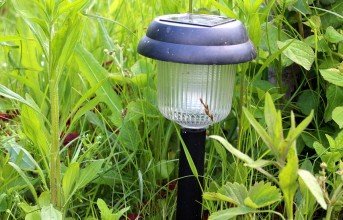 Garden Lighting