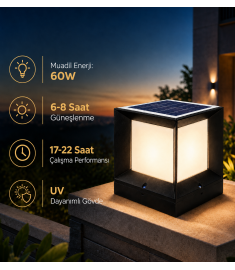 Solar Street Light