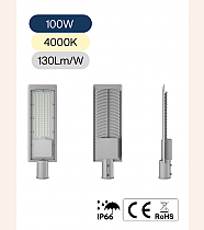 ZEYA 100W 4000K LED Armatür IP66 ZL-ST22G-100W