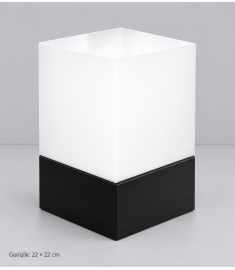 Outdoor Pillar Light with Globe