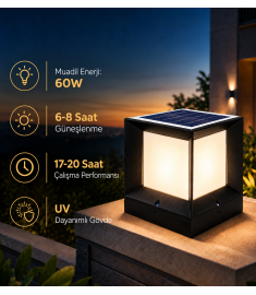 Solar Street Light