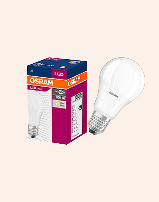 Y.A.610097 - Bulbs